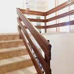 House Palm Tree * Žrnovnica
