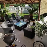 House Palm Tree *