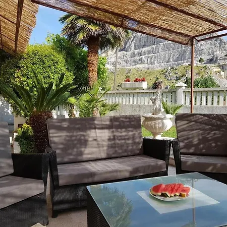 House Palm Tree *