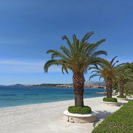 House Palm Tree Nyaraló *