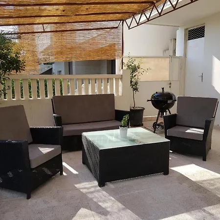 Nyaraló House Palm Tree *