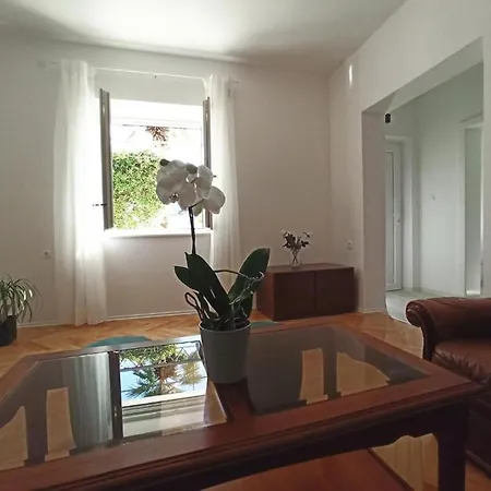 Hébergement de vacances House Palm Tree